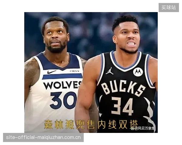 森林狼或在休赛期寻求交易补强，戈贝尔与兰德尔的组合面临调整。